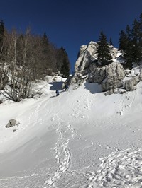 Slika.