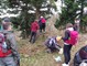Slika 13 od 36.