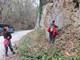 Slika 29 od 36.