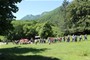 Slika 4 od 16.