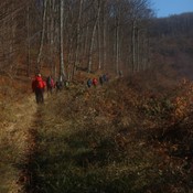 Nekad se samo treba prošetati na brdo do sunca