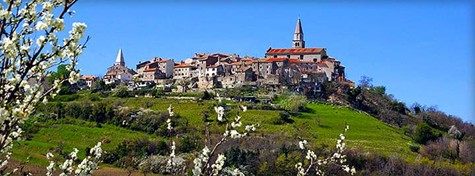 Buje