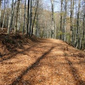 Međunarodni dan planina - 9. Nepoznati Papuk