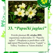 Papučki jaglaci 22. ožujka