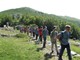 Slika 6 od 37.