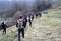 Slika 15 od 40.